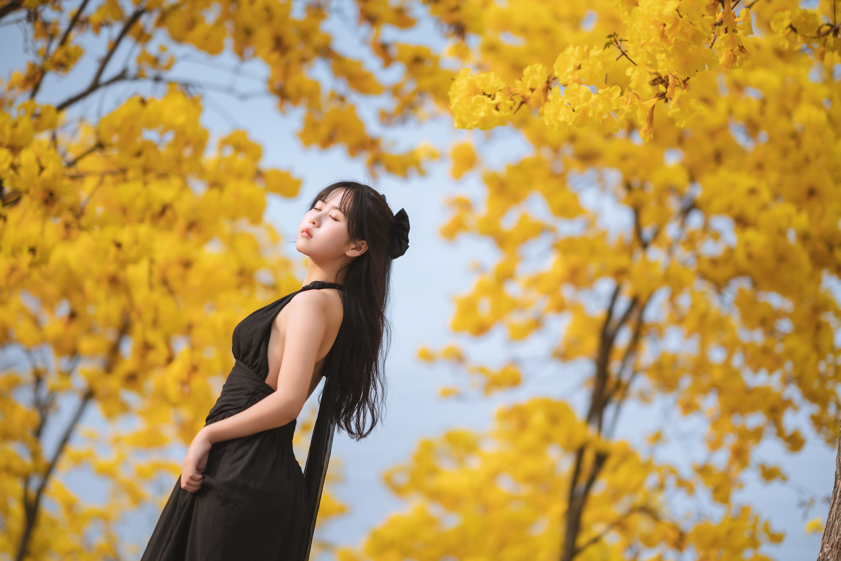 图片[1]-萌芽儿o0 – NO.026 秋有银杏 春有黄风铃[24P]-XikXak